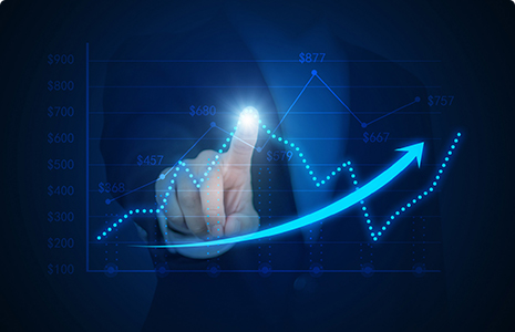 完善制度，规范流程，严格履行信息披露义务