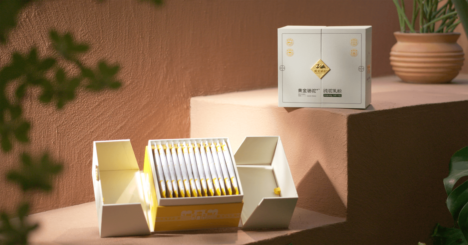 定位小众高端乳粉，jinnianhui今年会推出驼奶品牌“黄金骆驼+”，角逐乳品新市场！